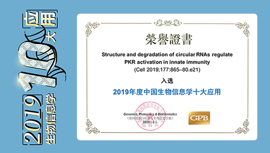 楊力研究組合作研究“環(huán)形RNA在天然免疫中的重要功能”入選2019年度“中國(guó)生物信息學(xué)十大應(yīng)用”